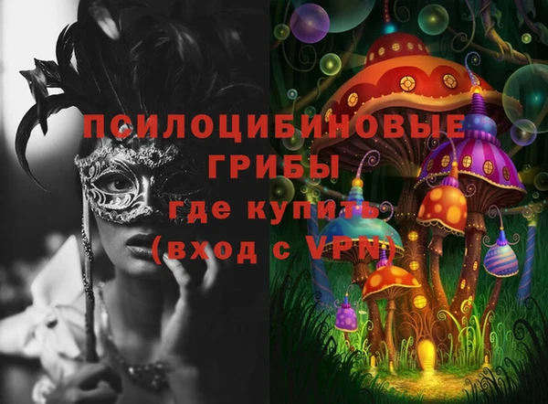 стаф Кулебаки