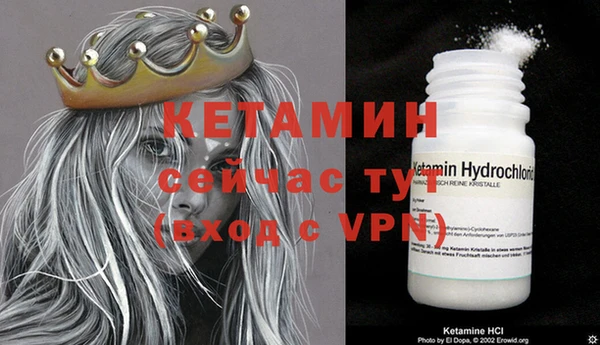 стаф Кулебаки