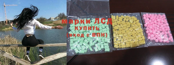 стаф Кулебаки