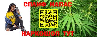 МДПВ Канаш