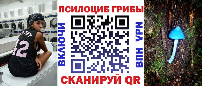 Псилоцибиновые грибы мицелий  Мелеуз 