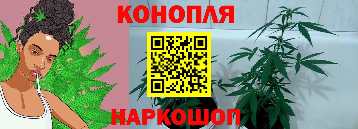 Каннабис ГИДРОПОН Мелеуз